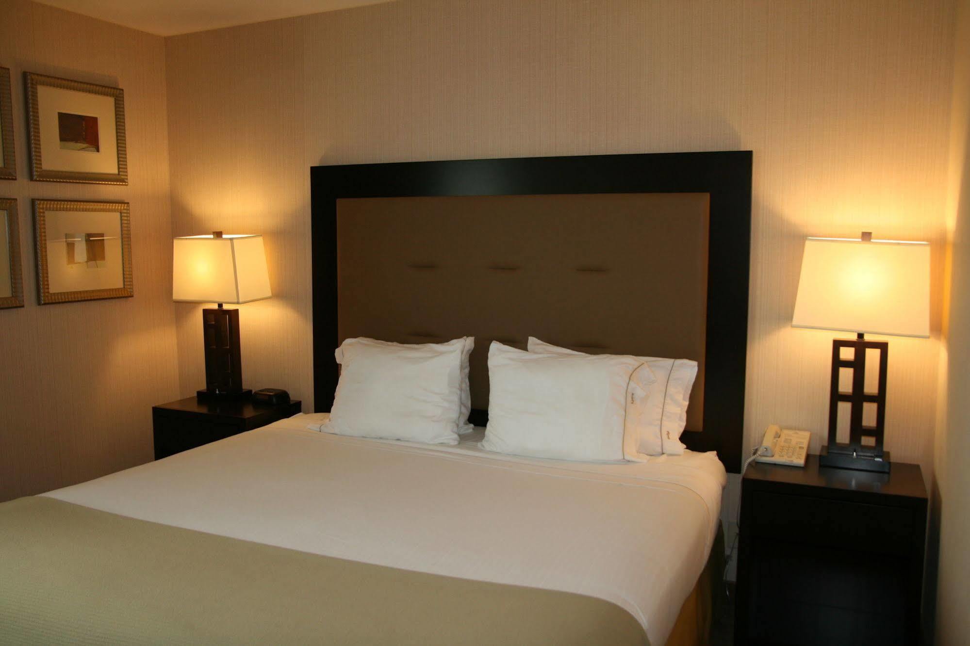 Holiday Inn Express Seattle - Sea-Tac Airport By Ihg SeaTac Exterior foto